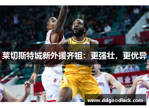 莱切斯特城新外援齐祖：更强壮，更优异